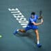 Tennis : le Moselle Open va disparaître, « le chaos est total »
