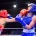 Boxe : cap sur le tournoi Strandja pour les pépites françaises