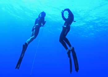 Plongée et apnée : Méditerranée Porte des Maures, un paradis sous-marin