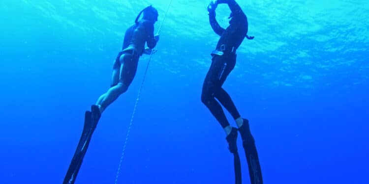 Plongée et apnée : Méditerranée Porte des Maures, un paradis sous-marin
