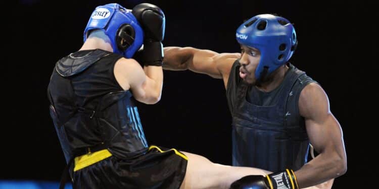 Arts martiaux : le wushu, un spectacle athlétique et spectaculaire