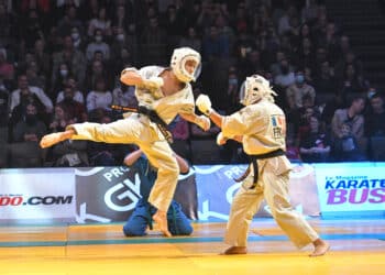Festival des arts martiaux, le meilleur des sports de combat 
