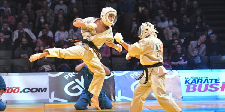 Festival des arts martiaux, le meilleur des sports de combat