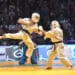 Festival des arts martiaux, le meilleur des sports de combat