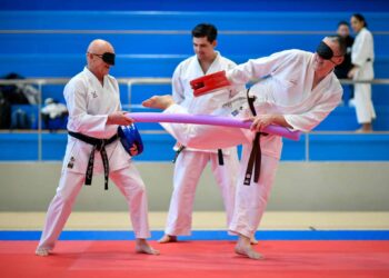 Karaté : « Un tatami pour tous » rassemble valides et handicapés