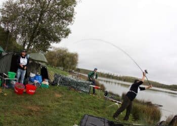 La pêche de loisir : entre nature et détente