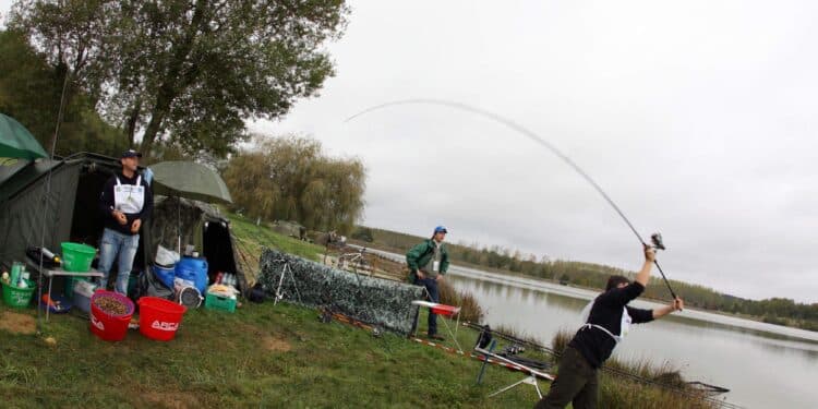 La pêche de loisir : entre nature et détente