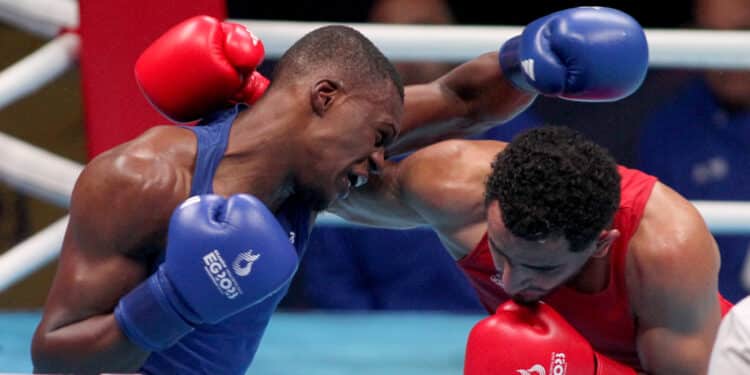 Boxe : début d’olympiade parfait pour les Bleus