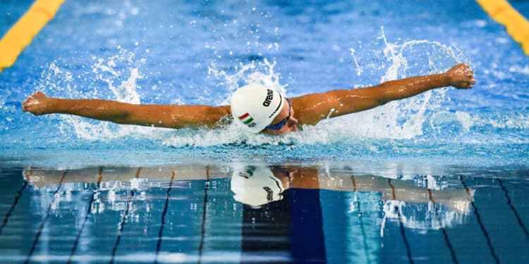 Giant Open : la natation mondiale a rendez-vous à Saint-Denis
