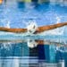 Giant Open : la natation mondiale a rendez-vous à Saint-Denis
