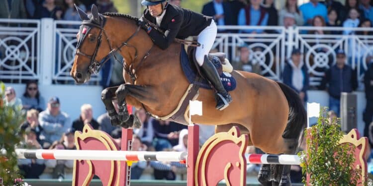 Equitation : Fontainebleau à l’heure des sports équestres