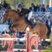 Equitation : Fontainebleau à l’heure des sports équestres