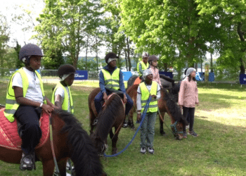 Equitation : carton plein à Cergy-Pontoise !