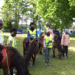 Equitation : carton plein à Cergy-Pontoise !