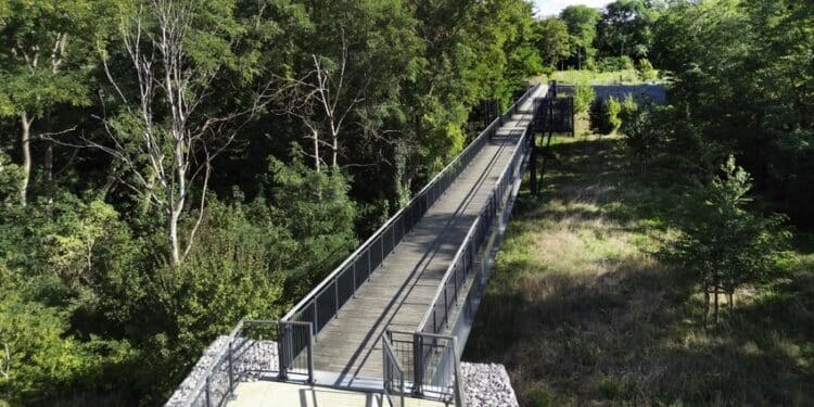 Entre ville et forêt, la Corniche des Forts séduit les Franciliens
