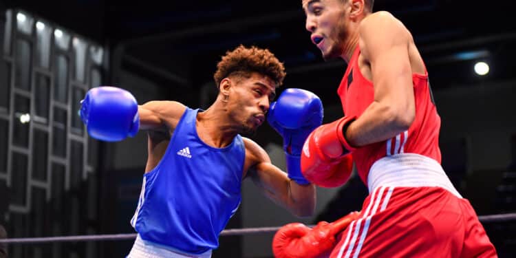 Boxe : avec les Ceintures, ça va cogner à Argenteuil !
