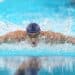 Natation : le Giant Open prêt à faire vibrer Saint-Denis