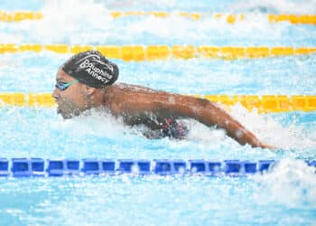 Natation : les Bleus à la fête lors du Giant Open