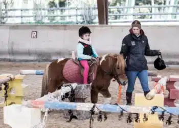 À Draveil, le Port aux Cerises conjugue loisirs et grand air