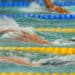 La Journée Nationale de l’Académie de la Natation revient pour sa 3ᵉ édition