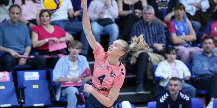 Volley : reconstruire après la chute pour les Neptunes de Nantes