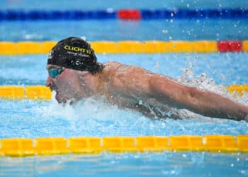 Natation : les héros de Paris confirment à Montpellier