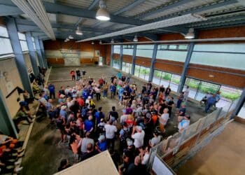 Pétanque : Embrun, club historique des Hautes-Alpes