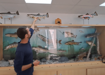 À la découverte de la pêche en Isère