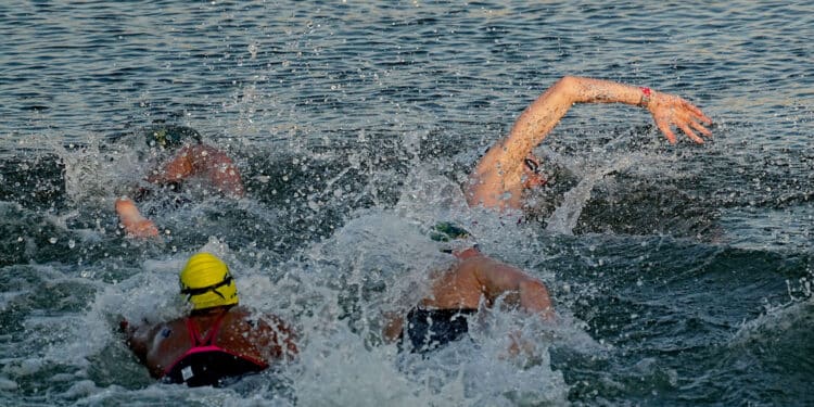 Natation : Open Swim Paris, le grand plongeon dans la Seine