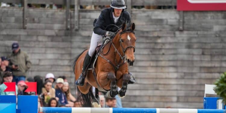 Equitation : le Jumping, un monument à Dinard
