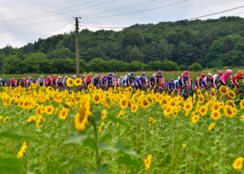 Cyclisme : le Tour de France Femmes à travers l’Indre-et-Loire
