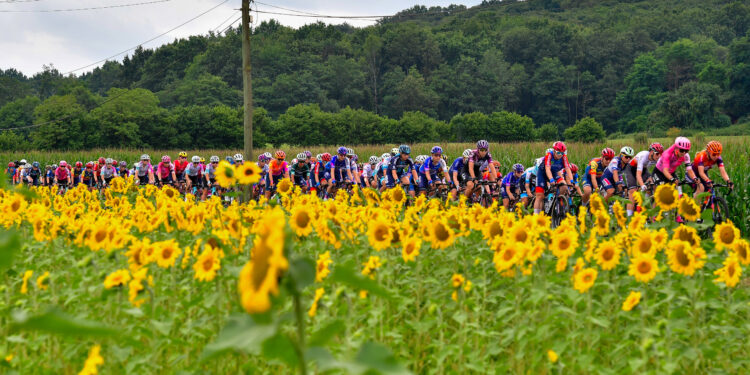 Cyclisme : le Tour de France Femmes à travers l’Indre-et-Loire