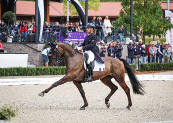 Championnats d’Europe de dressage : les Bleus repartent avec de l’expérience