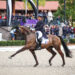 Championnats d’Europe de dressage : les Bleus repartent avec de l’expérience