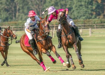 Polo : l’Open de France Barnes revient à Chantilly
