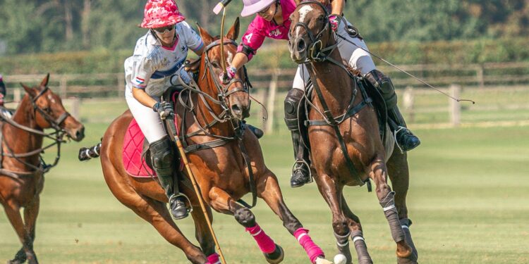 Polo : l’Open de France Barnes revient à Chantilly