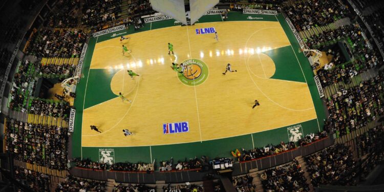 Coupe du Monde féminine 2026 : la FFBB veut accueillir un tournoi de qualification à Villeurbanne