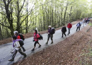 GR 15 : un nouveau sentier de grande randonnée en Île-de-France