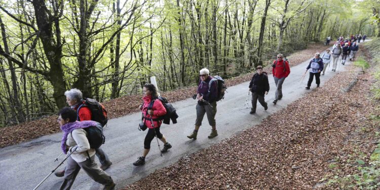 GR 15 : un nouveau sentier de grande randonnée en Île-de-France