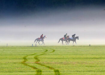 La formation Accompagnateur de Tourisme Équestre officiellement renouvelée au RNCP