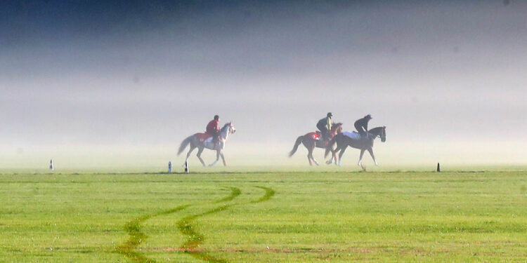 La formation Accompagnateur de Tourisme Équestre officiellement renouvelée au RNCP