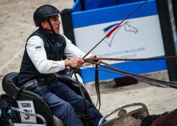 Equitation : la France lance sa campagne européenne en attelage et para-attelage
