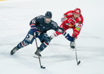 Synerglace Ligue Magnus : retour sur une saison 2024-2025 riche en émotions