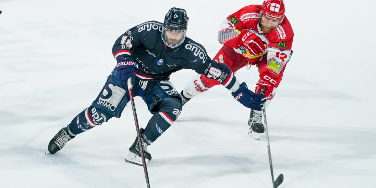 Synerglace Ligue Magnus : retour sur une saison 2024-2025 riche en émotions