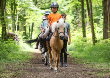 La Journée du cheval revient dans les clubs partout en France