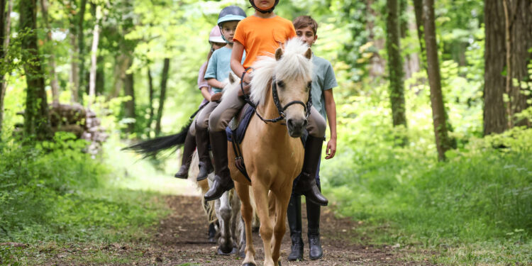 La Journée du cheval revient dans les clubs partout en France