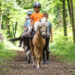 La Journée du cheval revient dans les clubs partout en France