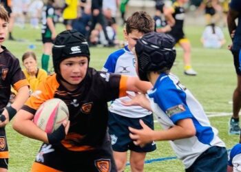 Rugby : « la pratique du rugby grandit en Corse »