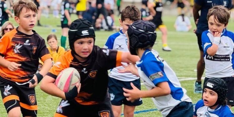 Rugby : « la pratique du rugby grandit en Corse »