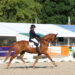 Equitation : Alexia Pittier écrit l’histoire du para-dressage français